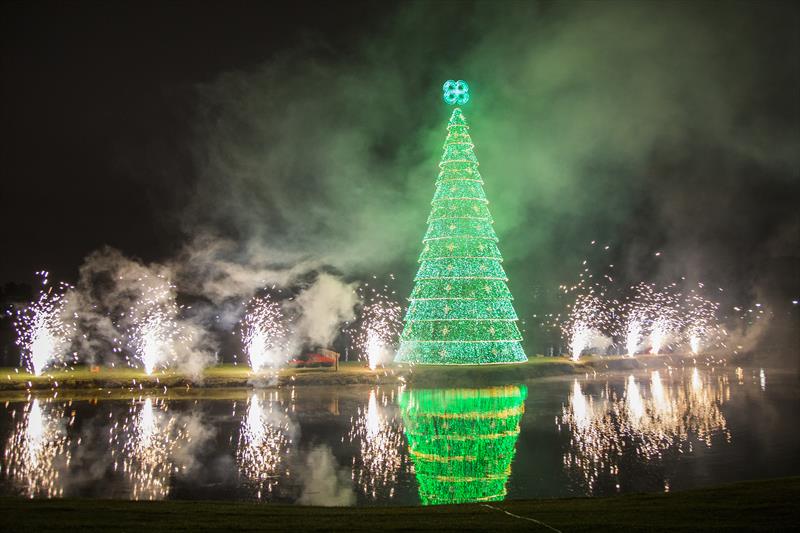 Com 22 metros, árvore de Natal do Barigui é a maior da cidade