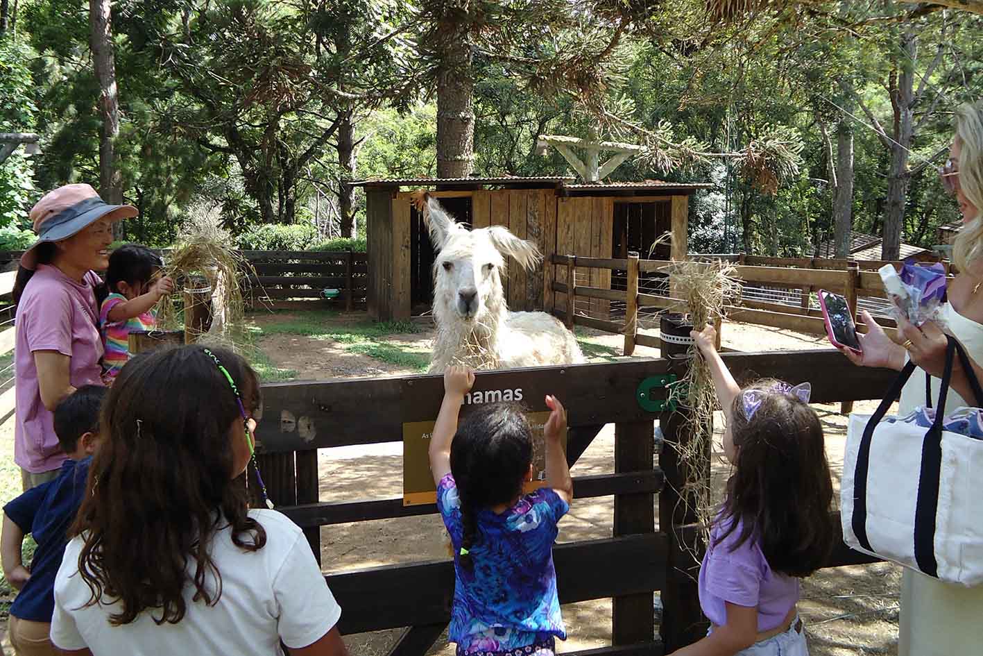 Novidades de férias na Vila Katu: promoções, natureza e cultura