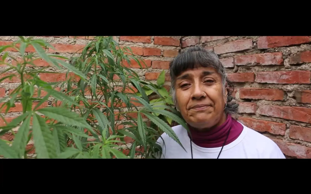 Documentário ‘Queimando Fronteiras’ estreia no Brasil e expõe os avanços da Cannabis na América Latina Documentário ‘Queimando Fronteiras’ estreia no Brasil e expõe os avanços da Cannabis na América Latina