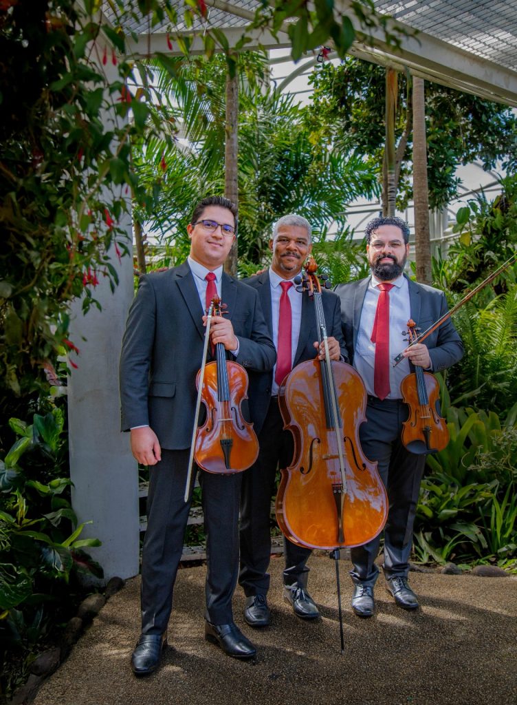 Quarteto de piano, violino, viola e violoncelo faz concerto gratuito neste sábado