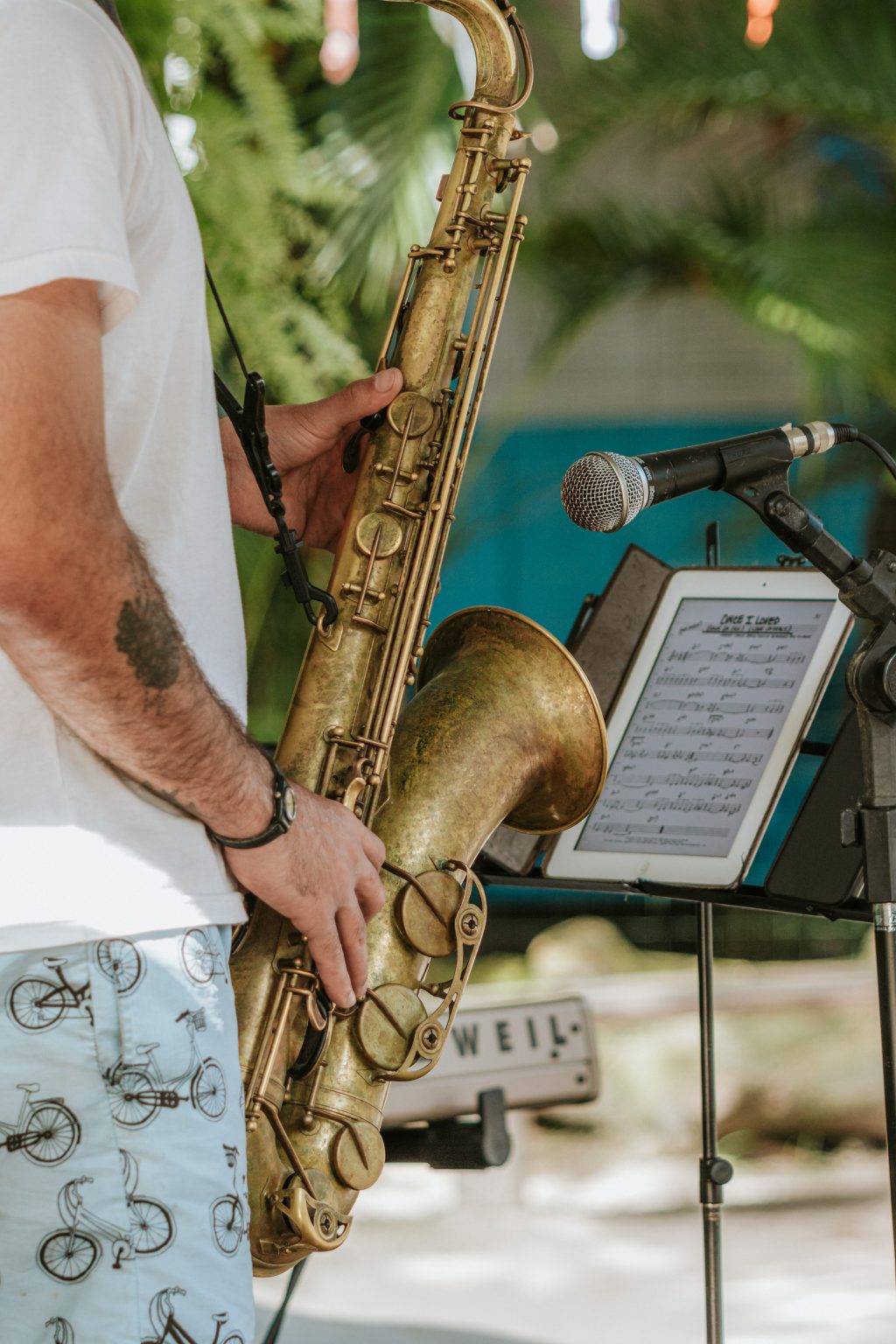 Ilha do Mel dá início ao Festival Jazz A Gosto 2025 com música e natureza em perfeita harmonia Festival Jazz Ilha do Mel