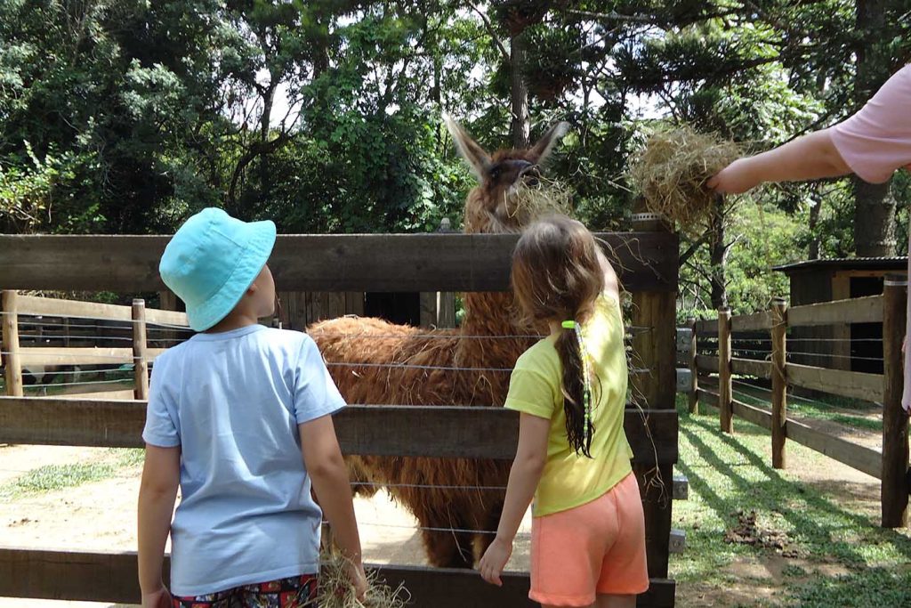 Natureza, diversão, hospedagem e gastronomia no feriadão da Vila Katu