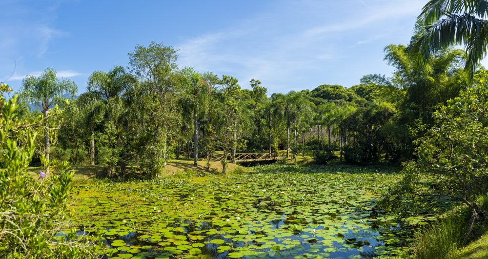 Dias quentes, cidade viva: o que fazer no verão em Curitiba Dias quentes, cidade viva: o que fazer no verão em Curitiba