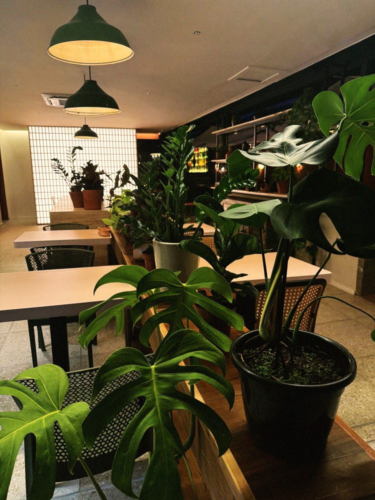 Novidade em Curitiba, o Floreria Café Bar une trabalho, gastronomia e cultura ao lado do Museu Oscar Niemeyer.