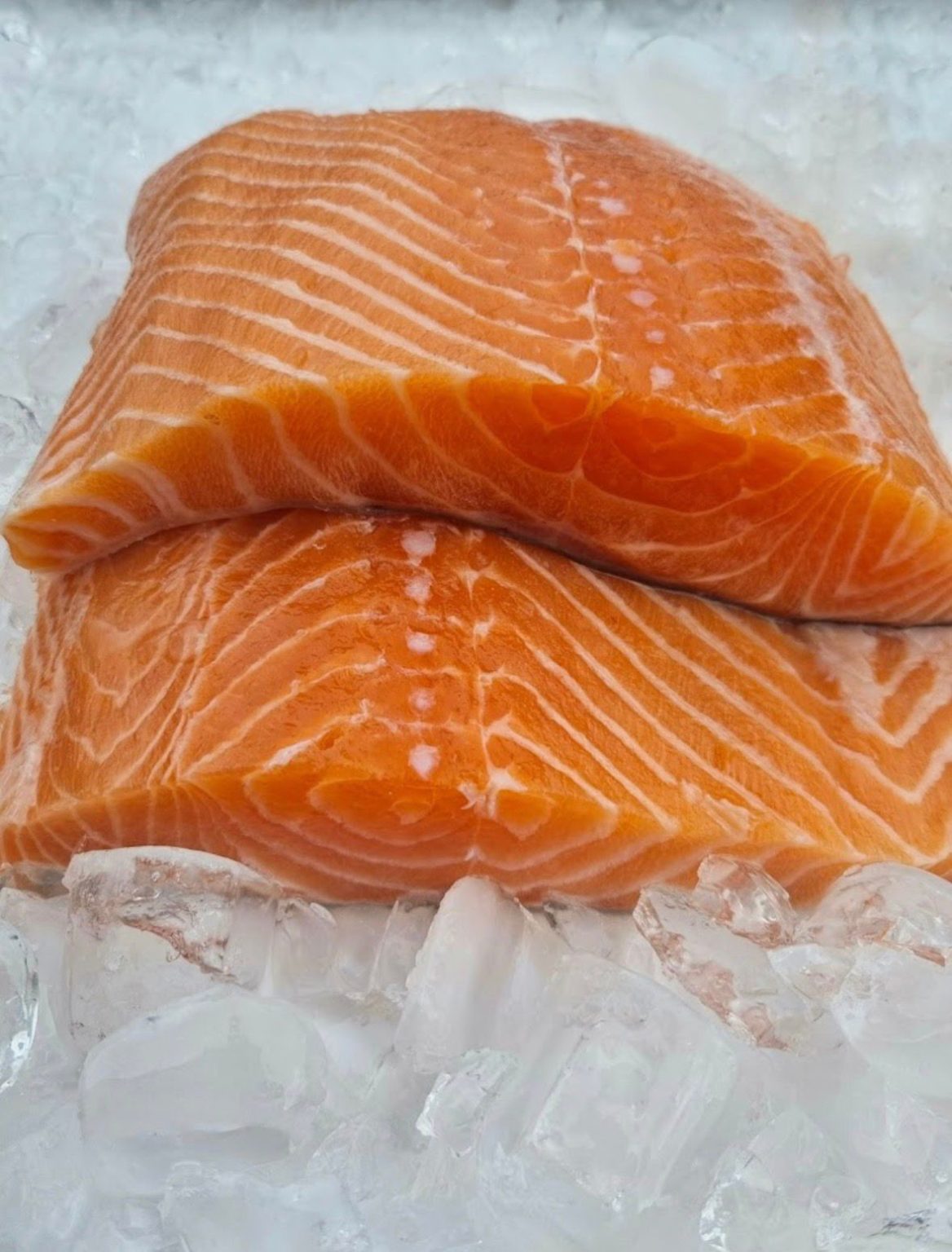 Quaresma 2026: Guia prático para garantir o melhor pescado com economia