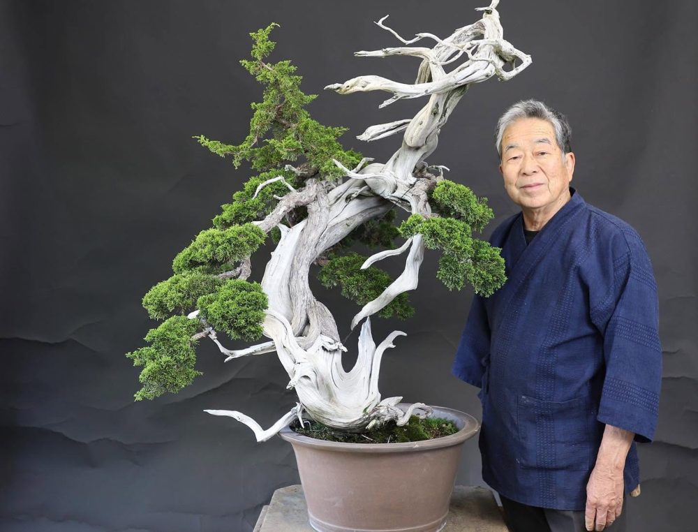 Curitiba sedia na próxima semana o maior evento de bonsai da América Latina - FELAB Brasil 2026 Curitiba sedia na próxima semana – de 06 a 08/11, sexta-feira a domingo – o maior evento de bonsai da América Latina, que acontecerá no Centro de Eventos Positivo, no Parque Barigui, promovido pela Bonsai do Campo em parceria com a Associação Cultural Nikkei Curitiba.